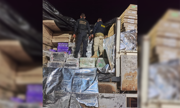 PRF e Polícia Federal apreendem mais de 4,5 toneladas de maconha na BR-277, em Cascavel