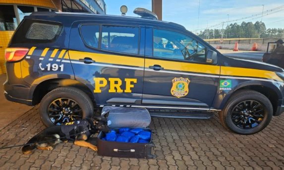 PRF flagra jovem grávida com quase 10 quilos de skunk em ônibus na BR-277
