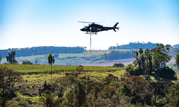 PRF realiza semeadura aérea de 18 toneladas de sementes de palmeira-juçara no Paraná