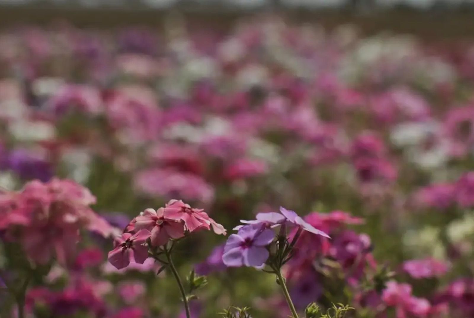 Primavera começa com frente fria, temporais e queda nas temperaturas Primavera começa com frente fria, temporais e queda nas temperaturas