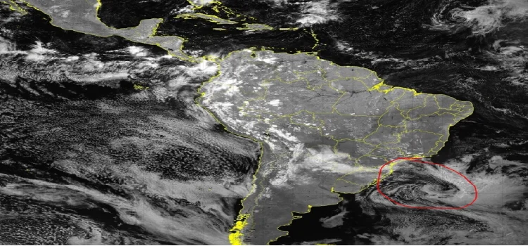 PRIMAVERA: Começa hoje a estação das flores, 1ª semana será marcada por frente fria no Sul e Sudeste; saiba como será a estação