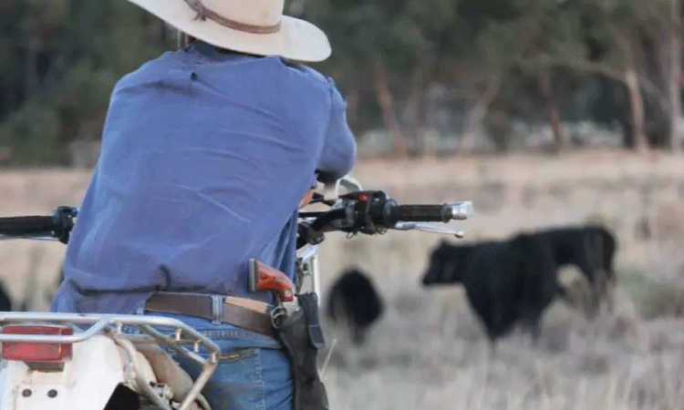 Projeto avança para permitir compra de armas de fogo por produtor rural