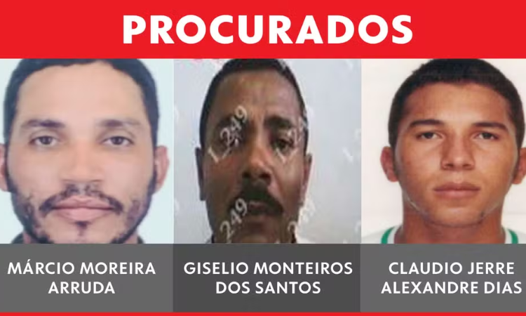 Segurança: Brasil tem 336 procurados por feminicídio com mandados de prisão em aberto