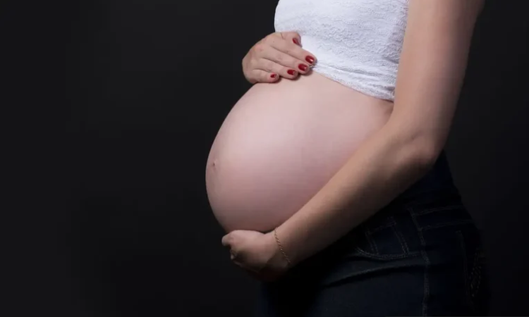 STF equipara licença-maternidade para mães biológicas e adotantes em até 180 dias