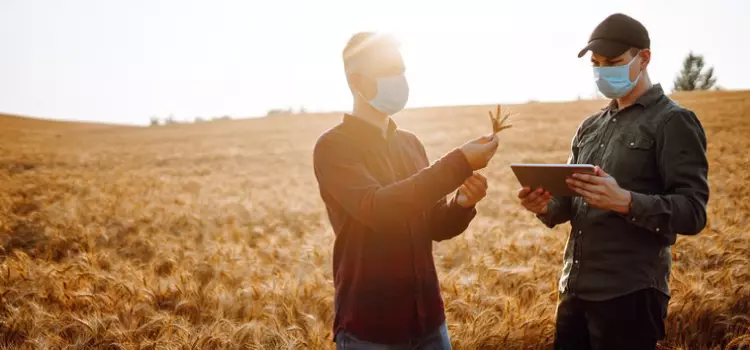 Suasa completa 15 anos garantindo a qualidade da produção brasileira do campo à mesa