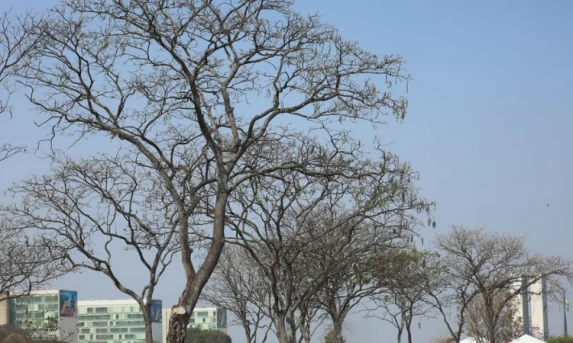 Tempo e Clima: Inmet emite alerta laranja de baixa umidade para dez estados e aviso de tempestades severas no Sul