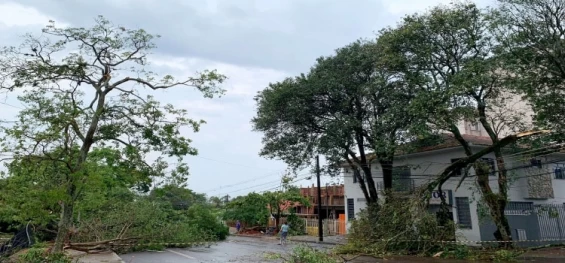 PARANÁ: Temporais afetam fornecimento de energia e água no Estado; Defesa Civil atua no atendimento.