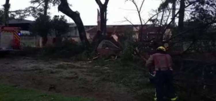 TEMPORAL: Corpo de Bombeiros atendeu 12 solicitações em Cascavel