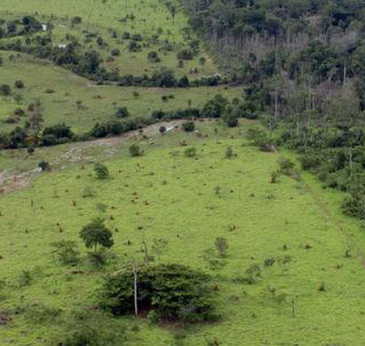 Termina nesta sexta entrega da Declaração do Imposto Territorial Rural.