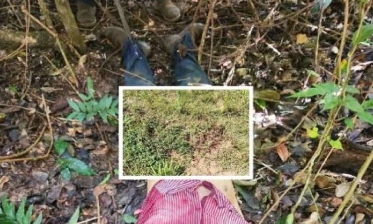 Trabalhador é morto por onça em fazenda; corpo é encontrado após 300 metros de arrasto.