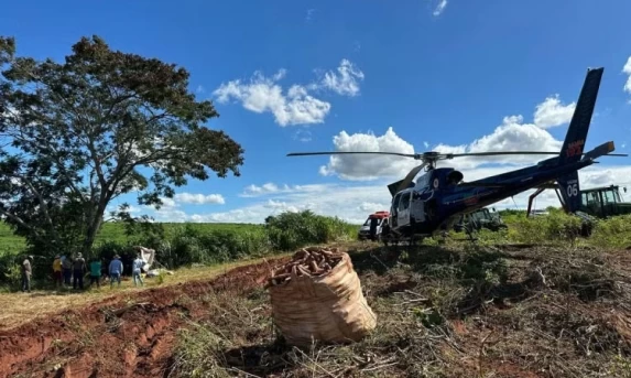 BC informa que teto para rotativo vale a partir desta quarta-feira