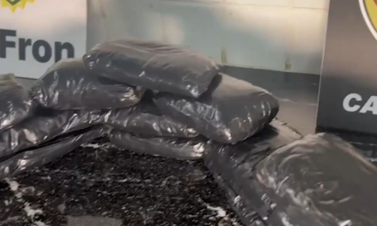 TRÁFICO NO OESTE: JOVEM É PRESA COM MAIS DE 3 KG DE HAXIXE ESCONDIDOS ENTRE AS PERNAS