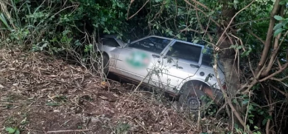 TRÂNSITO: Cinco feridos após carro bater em árvore na PR 495 em Medianeira.