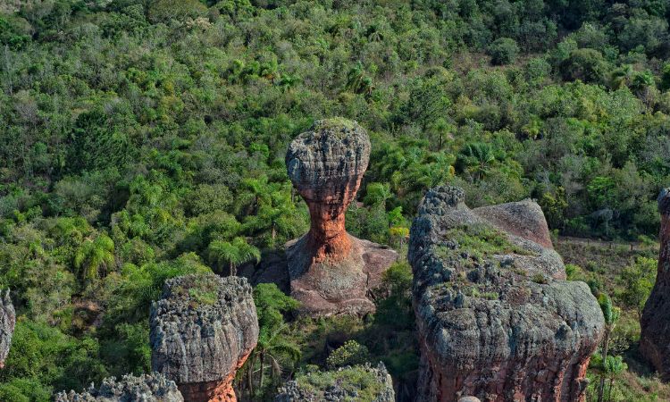 Trégua nas chuvas: Sol aparece no feriado do Dia do Trabalhador, mas nova frente fria chega no fim de semana
