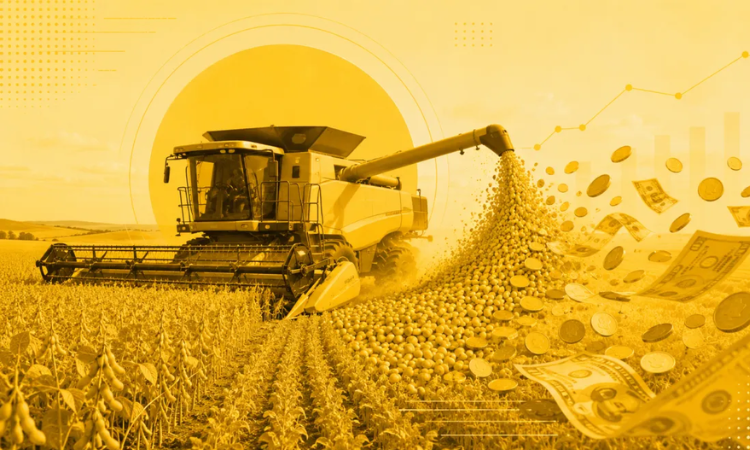 Valor da produção agrícola brasileira atinge recorde de R$ 927,2 bilhões em 2025, aponta IBGE