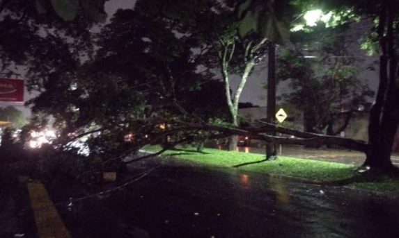 VENDAVAL CAUSA ESTRAGOS E MOBILIZA DEFESA CIVIL EM FOZ DO IGUAÇU