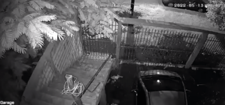 VÍDEO: Câmera registra em áudio os tiros e a colisão do assassinato no Bairro Periolo em Cascavel.