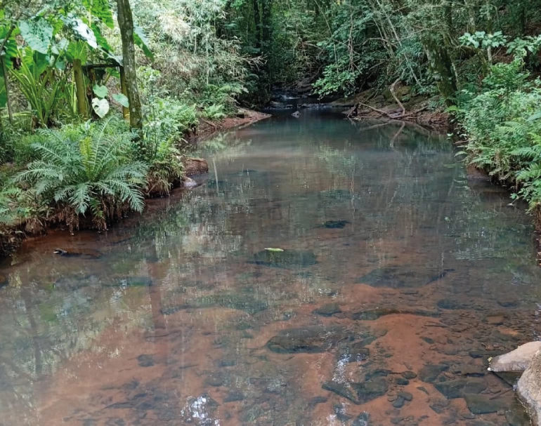 Chácara com 10,6 hectares - Diamante do Sul