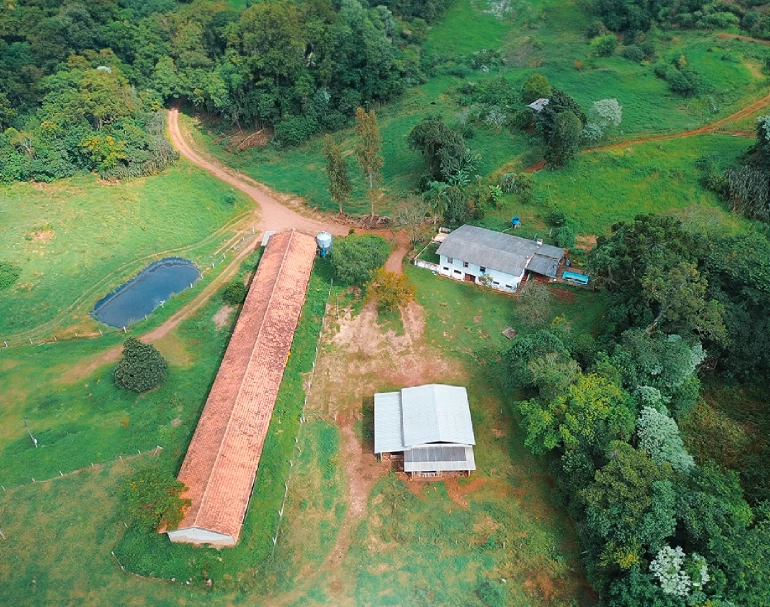 Propriedade no Município de Guaraniaçu com grande oportunidade e renda garantida, apenas 1,5 km do asfalto. Possuí 14,5 alqueires, com estrutura de engorda para 600 suínos.